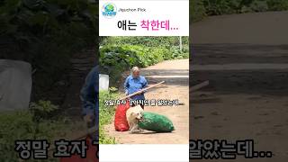 애는 착혀