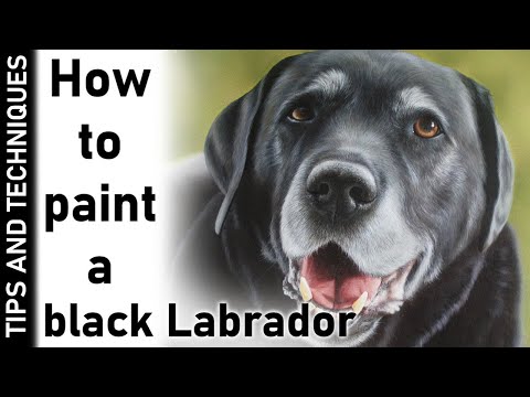 BLACK LABRADOR PAINTING IN ACRYLICS | PAINTING BLACK FUR & ACRYLIC TIPS