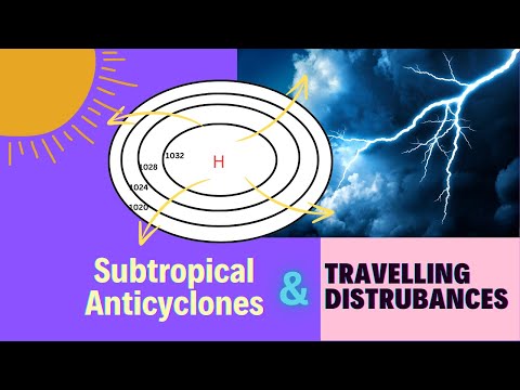 Subtropical anticyclones and travelling disturbances