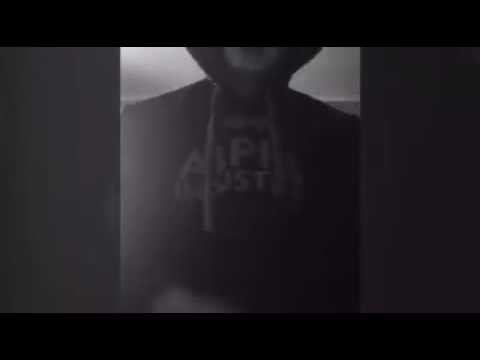 Gold magic lights parno havran 8 barov