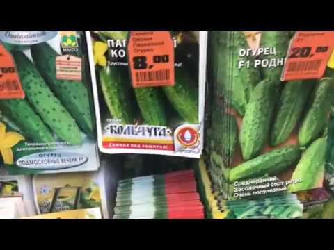 Купить Семена Белая Дача