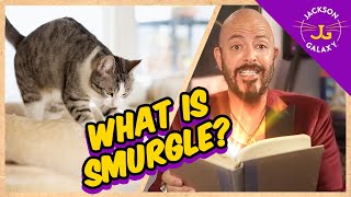 Why Do Cats Knead? | What is Smurgle?
