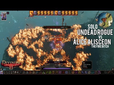 Divinity: Original Sin {SOLO} Alice Alisceon fight