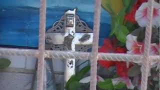 Cristo: Nacimiento, Muerte y Resurrección (Homenaje a 40 años de "La Biblia" de Vox Dei)