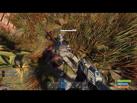 RUST | Fight with the chinese