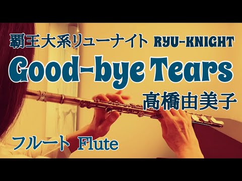 Haou Taikei Ryuu Knight Good-bye Tears Yumiko Takahashi