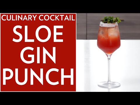 Sloe Gin Punch – The Educated Barfly