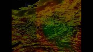 Video thumbnail for Basic Audio Throbby Tremolo by John Lyons