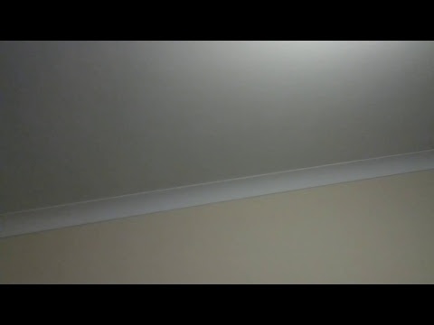 Ben Best Live Stream