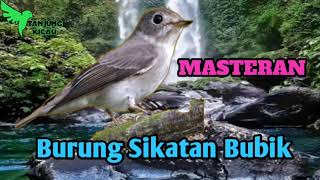 Download lagu Suara Masteran Kicau Burung Sikatan Bubik mp3 Download lagu Suara Masteran Kicau Burung Sikatan Bubik mp3