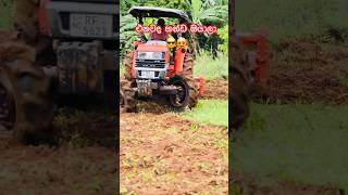 Download lagu එනවද හන්ඩ ඔයාලා😎🥸 #agricultura #farmingtraditions #farming #farmer #viralvideo mp3