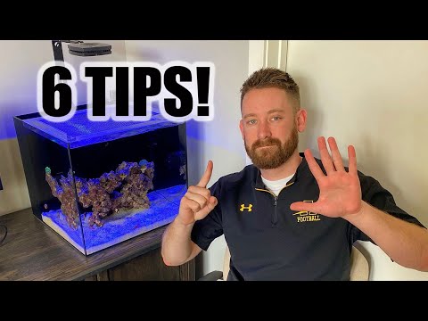 Tips for Beginner Reefers | Nano Saltwater Reef Tanks