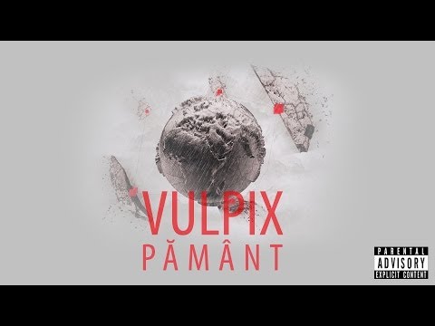 Vulpix-Valuri De Lacrimi Feat.DaOne & Karina (Album "Pamant" 2011)