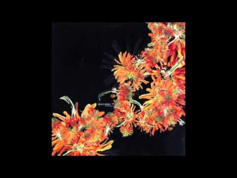 Argenis Brito - Mala Conducta