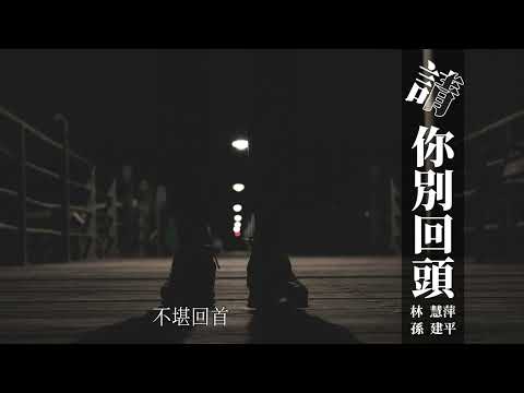 林慧萍&孫建平-請你別回頭『當別後的悲傷請歲月悄悄的溜走以後』【動態歌詞 Lyrics】