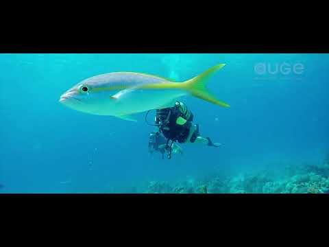 Reserva de la biosfera Ciénaga de Zapata, Cuba