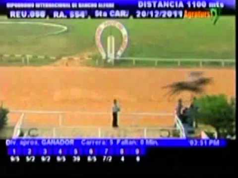 Resumen Martes, 20 de Diciembre de 2011 - Rancho Alegre