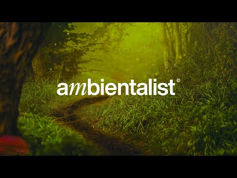 The Ambientalist - Mysteries Unfold