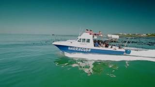 Welcome to SUN-SOAKED COASTS, South Africa