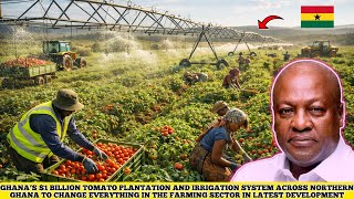 GHANA’S $1BILLION TOMATO IRRIGATION REVOLUTIONS TO CHANGE EVERYTHING FOR GHANA IN LATEST DEVELOPMENT