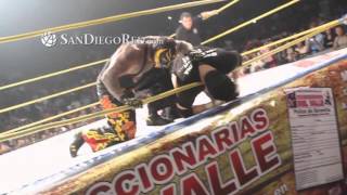 Mexican wrestler Perro Aguayo died after 619 by Rey Mysterio.