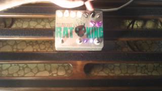 Fuzzrocious RAT KING on bass