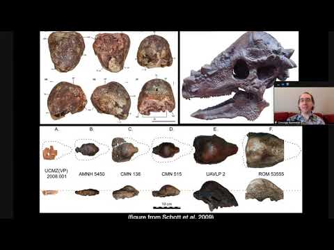 Old News Ep. 17: Mystery of the Boneheaded Reptiles