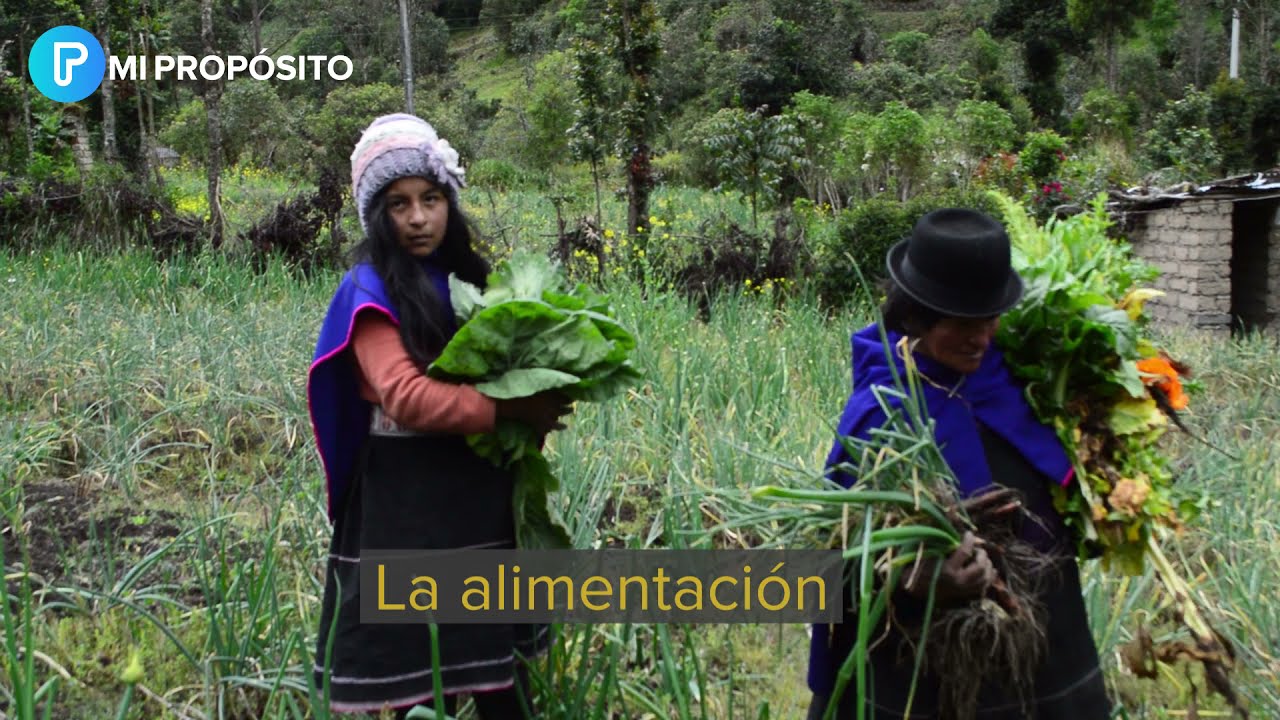 Seguridad alimentaria y nutricional de las comunidades Misak