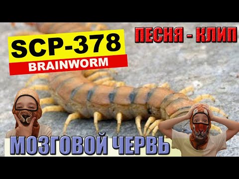 SCP-378  Мозговой червь/Песня-клип  #scp #scp378 #mi&go #brainworms #песняссубтитрами