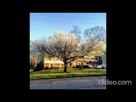 Mr. Sound - Affiliate Dreamers ft. Coyo Vera, YGF Dynamite