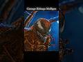 Carnage ️ Kidnaps Detective Mulligan Shorts Venom2 Carnage