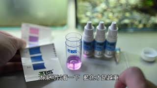 魚缸中氨量爆表嗎? 測試一波 | 接二連三死魚 | NH3 NH4 NO2 testing my betta fish tank