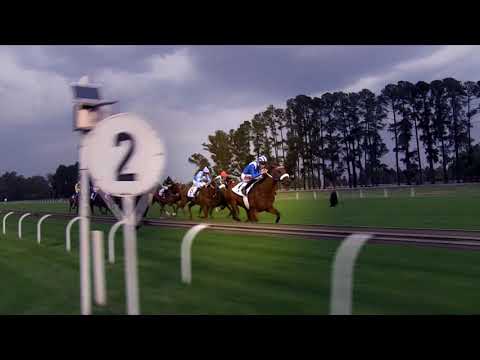 SOQRAT - The Demolition machine in The Victory Moon.