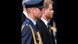 Lip Reader On What Prince William And Prince Harry Said During The Queen's Funeral