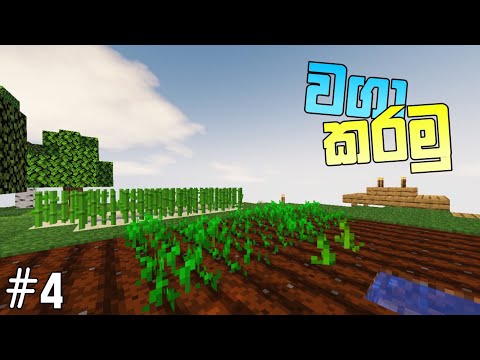 ULTIMATE MINECRAFT SURVIVAL GUIDE SINHALA - EPIC LAZY BIRD GAMEPLAY