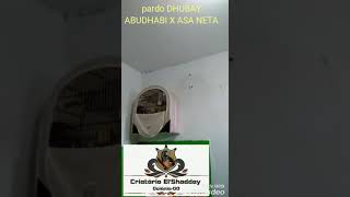 pardo DUBHAY   11 meses
