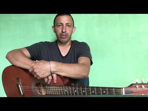 Ladrão De Terra - Tião Carreiro e Pardinho