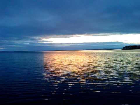 Roger Paulsson - Sju ensamma kvällar