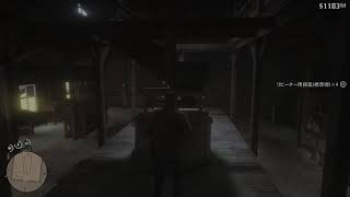 [PS5 Pro]   レッド-デッド-リデンプション2　[20260920]