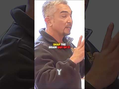 He FIXED The Dog That'd Bit Its Owners Over 20 TIMES... 🐕👏