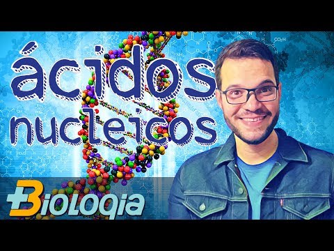 Ácidos Nucleicos - DNA e RNA em Mais Biologia