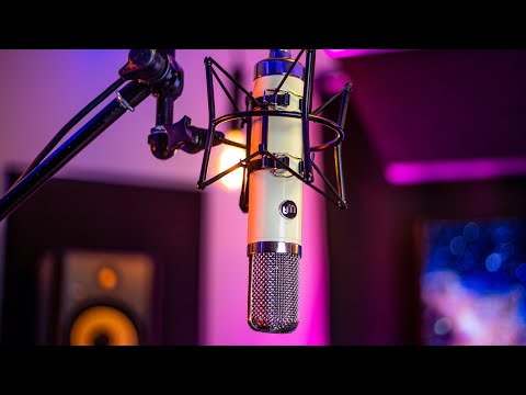 Warm Audio WA-251 Tube Condenser Vocal Microphone image 5