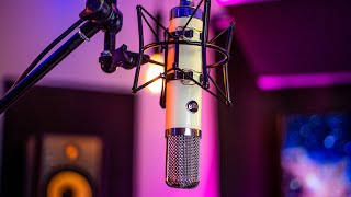 WARM AUDIO ( ウォームオーディオ ) WA273 送料無料 | サウンド WARM AUDIO ( ウォームオーディオ ) WA273 送料無料 | サウンド