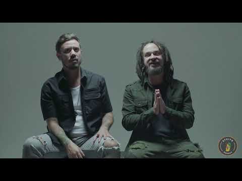 LANÇAMENTO - Efeito Reggae (Zeider e Rodrigo Piccolo)