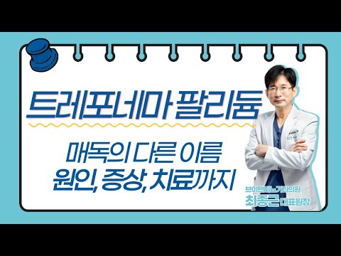 방송&학술 활동 | 브이맨비뇨기과