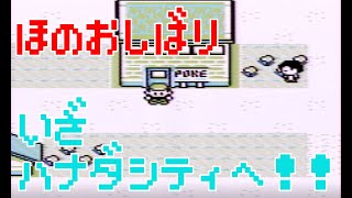【ポケモン初代】おつきみやま抜ければ、そこは夢のハナダシティ！！【第4話】