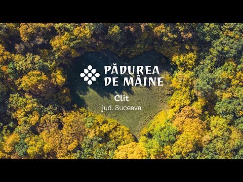 Clit, județul Suceava