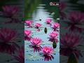 Khairiyat Pucho Kabhi To Kaifiyat Pucho Nature Naturevideo Song Shortvideo Shorts Short