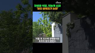 와인 바꿔치기 논란의 안성재 당시 사과는 없었다 [티조Clip] #shorts