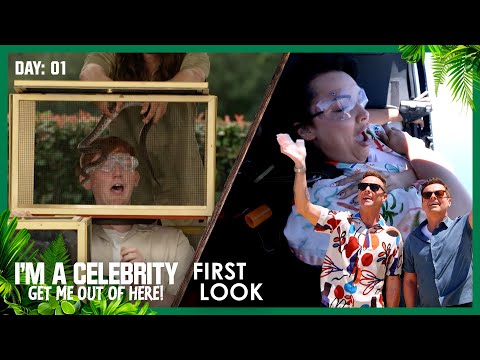 10 new Celebs take a leap into Jungle Life | I'm A Celebrity... Get Me Out of Here! 2025